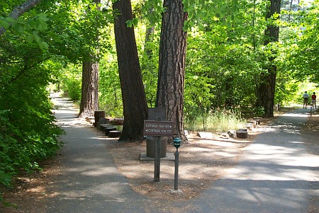 walkway to the bungalows