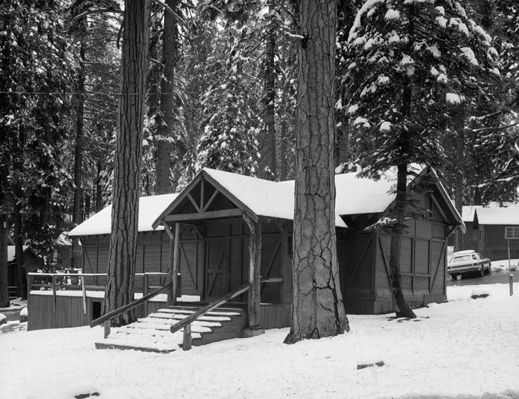 Giant Forest Village