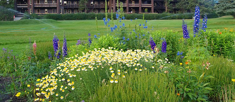 gardens at Glacier Park Lodge