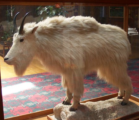 lobby exhibit